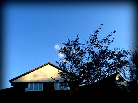 Brixton Road, 19/11/07