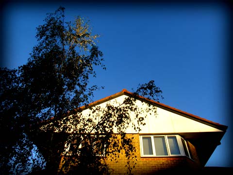 Brixton Road, 19/11/07