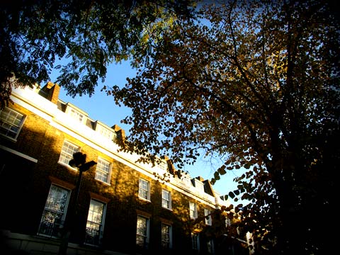 Brixton Road, 19/11/07