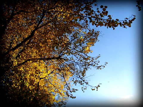 Brixton Road, 19/11/07