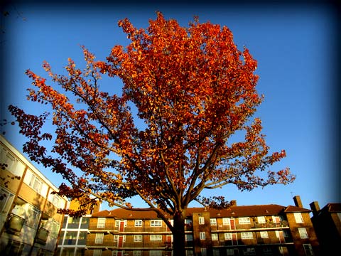 Painting the town red