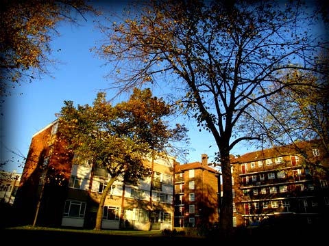 Brixton Road, 19/11/07