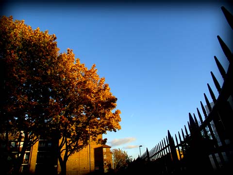 Brixton Road, 19/11/07