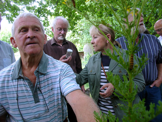 Wivenhoe Watching Wildlife Group