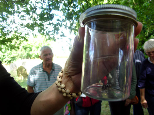 Wivenhoe Watching Wildlife Group