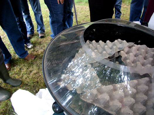 Wivenhoe Watching Wildlife Group