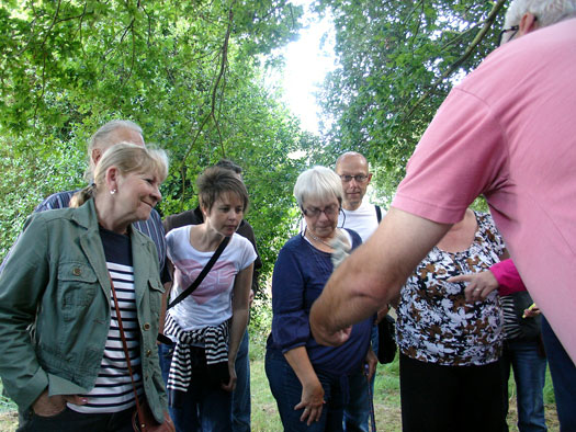 Wivenhoe Watching Wildlife Group