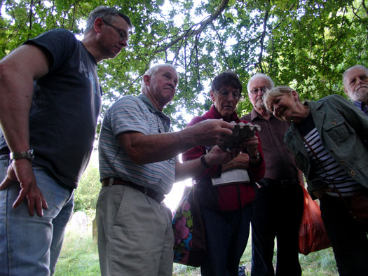 Wivenhoe Watching Wildlife Group