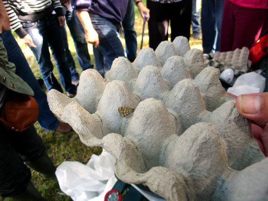 Wivenhoe Watching Wildlife Group