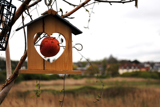 Jane's Walk, Colchester