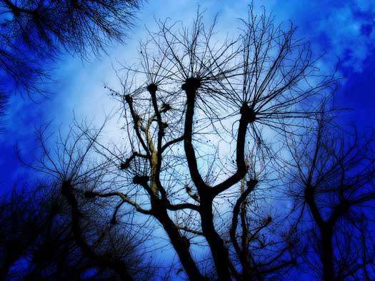 John Islip Street, 08/12/09