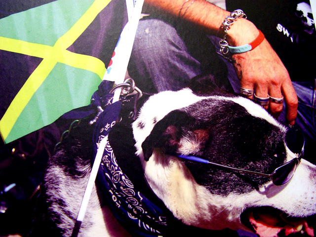 Brixton police Station Mural