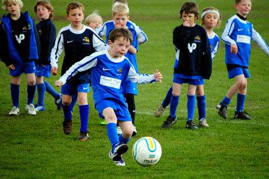 Wivenhoe Ferry celebrations
