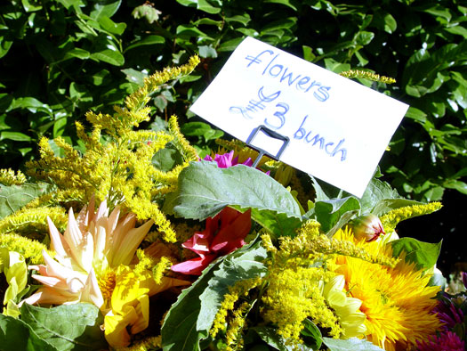 Wivenhoe Farmer's Market