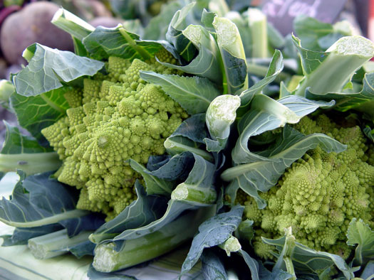 Wivenhoe Farmer's Market
