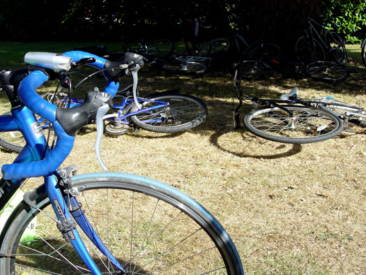 Wivenhoe Farmer's Market