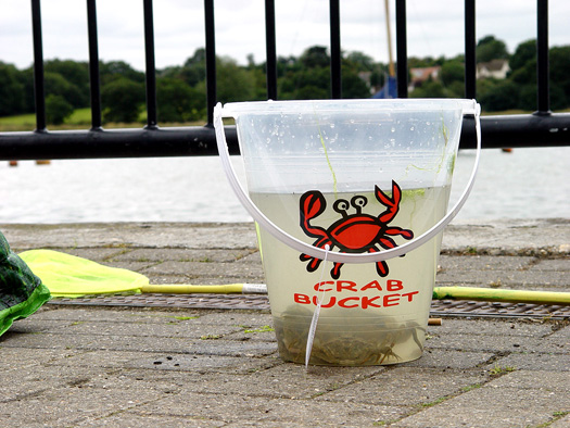 Wivenhoe Crabbing Competition