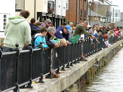 Wivenhoe Crabbing Competition