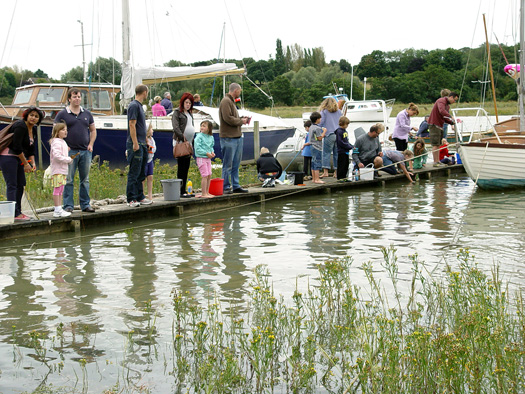 Wivenhoe Crabbing Competition