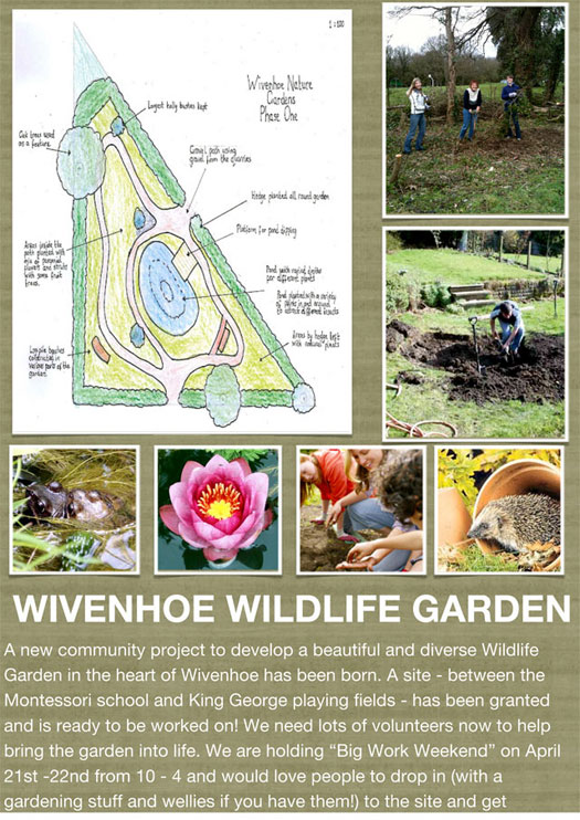 Wivenhoe Wildlife Garden