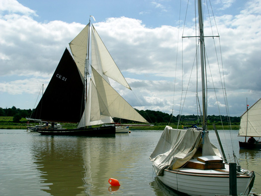 Wivenhoe Regatta