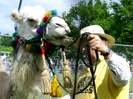Lambeth Country Show
