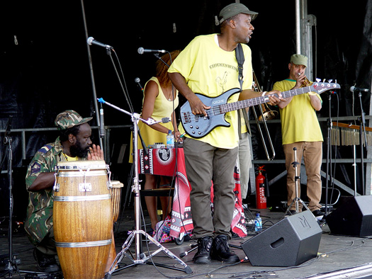 Lambeth Country Show