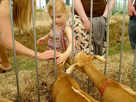 Lambeth Country Show