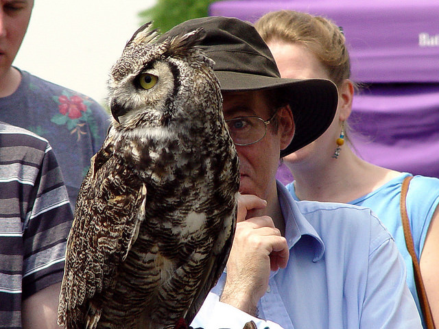 Lambeth Country Show