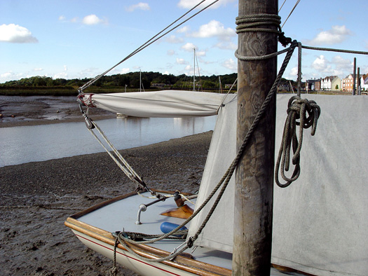 A Boat for His Potplants