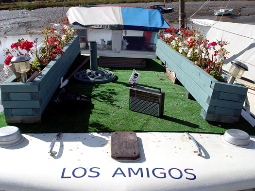 A Boat for His Potplants