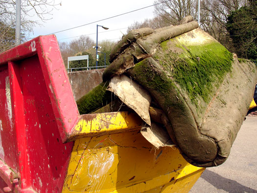 Wivenhoe Society riverbank clean Up