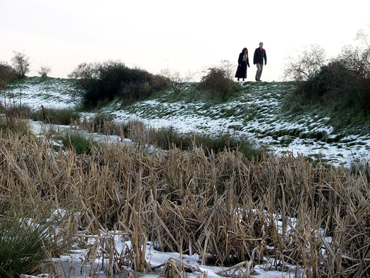Boxing Day walk