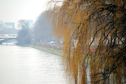 Albert Bridge, 29/01/10