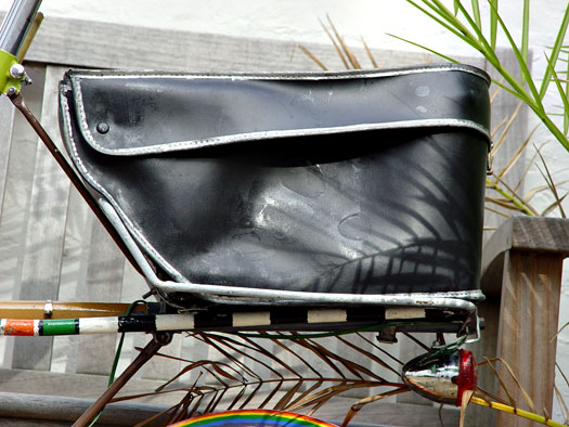 Multi-coloured Moulton, 31/07/09