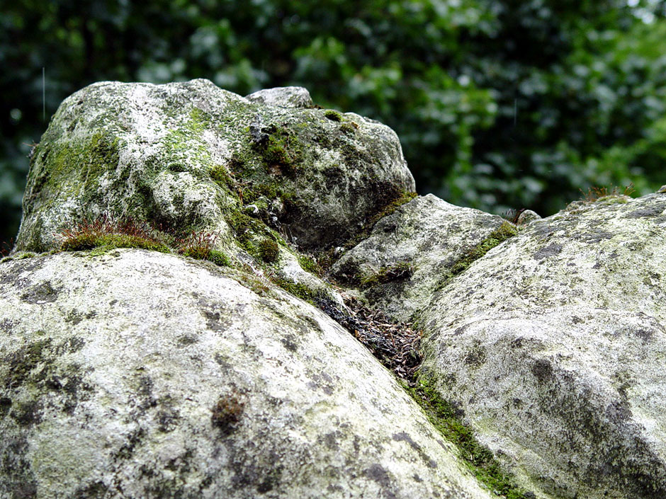 The London Perambulator