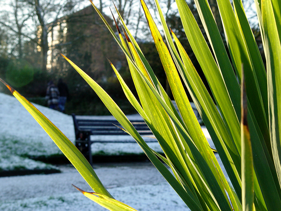 Castle Park, Colchester