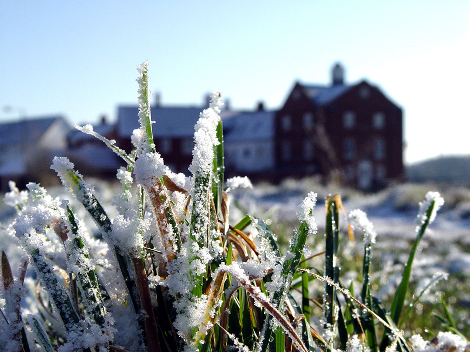 Ferry Marsh, Wivenhoe