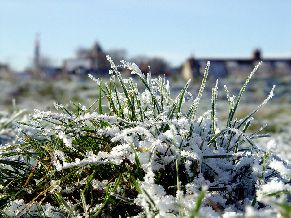Ferry Marsh, Wivenhoe