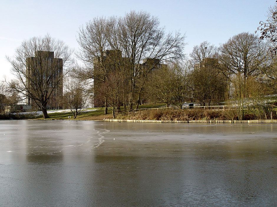 University of Essex Lakes