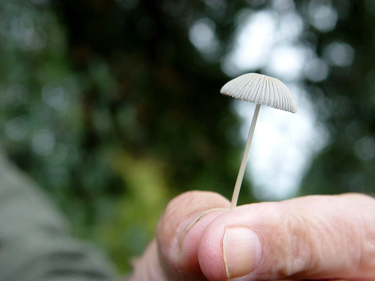 Watching Wivenhoe Wildlife Nature’s Bounty Watching Wivenhoe Wildlife Nature’s Bounty