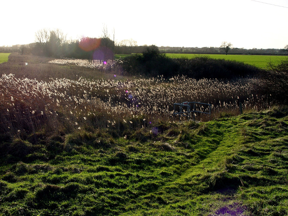 Estuary Rambles Pt IV