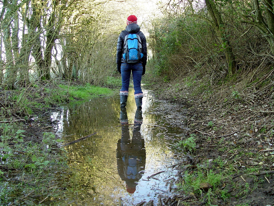 Estuary Rambles Pt II