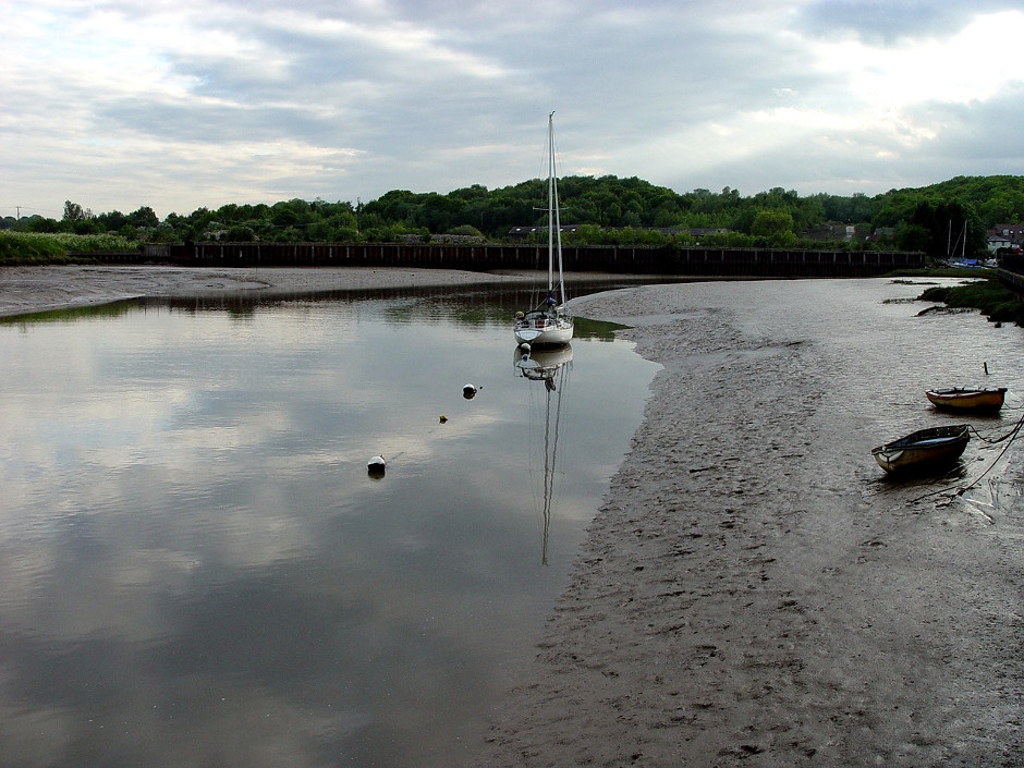 Estuary Mud