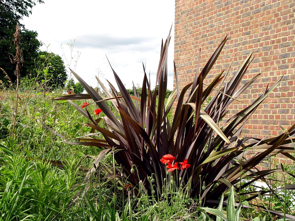 Brockwell Lido Wildlife Slope