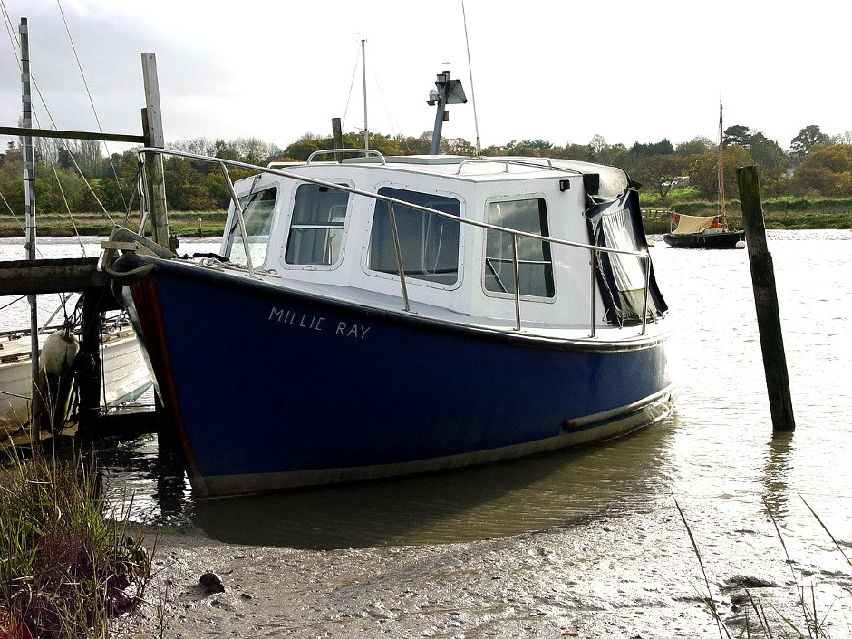 Random Walk, Random Shots