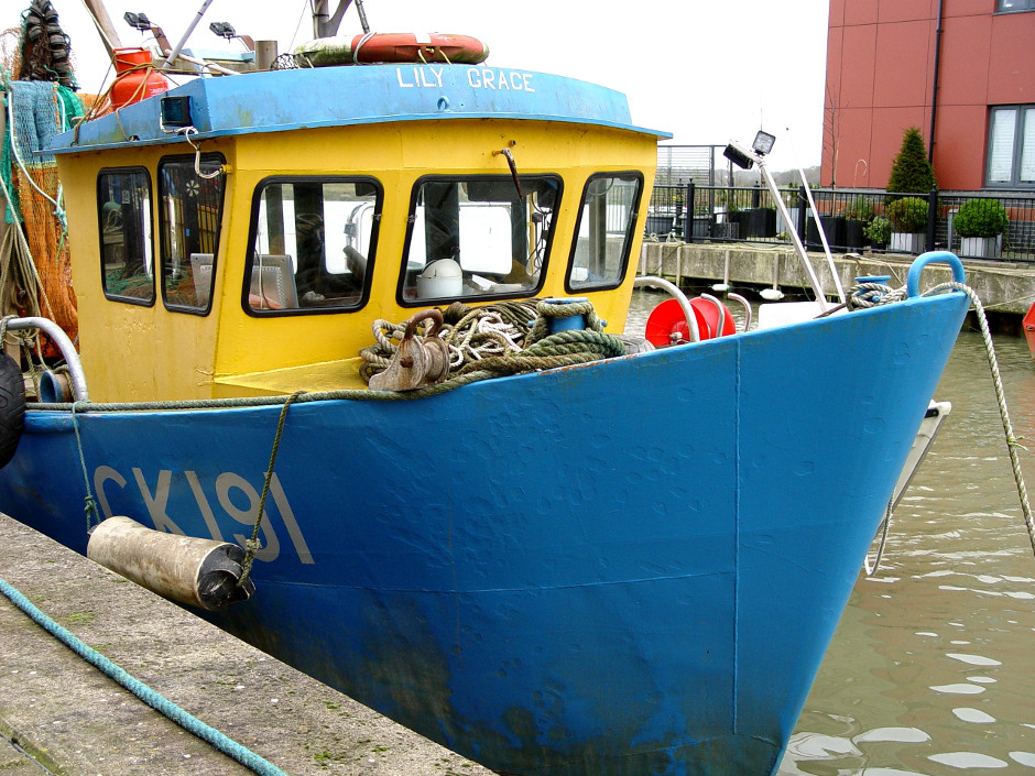 Damp Christmas Morning Plod