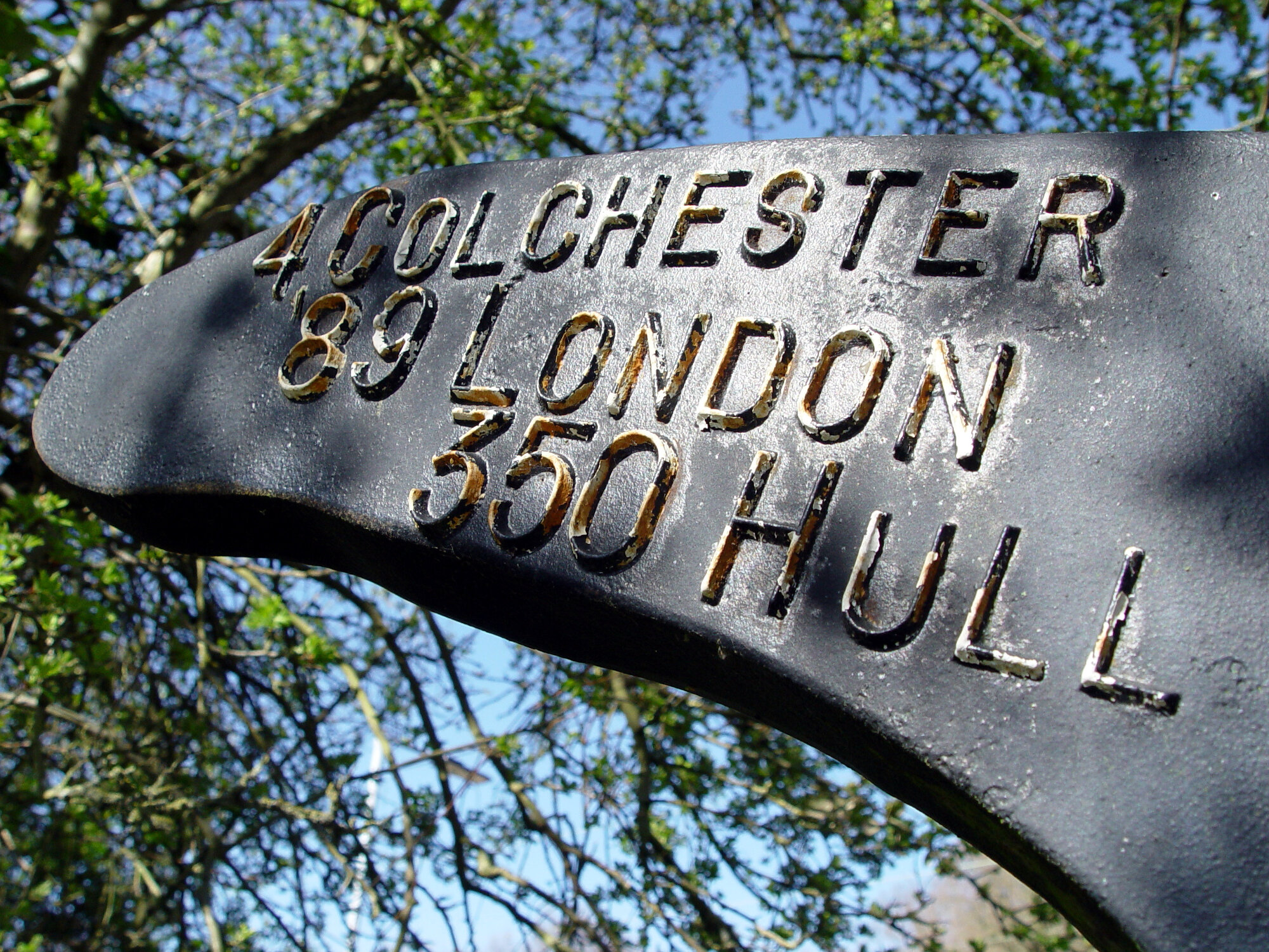 Sunshine State Sponsored Wiv Walk