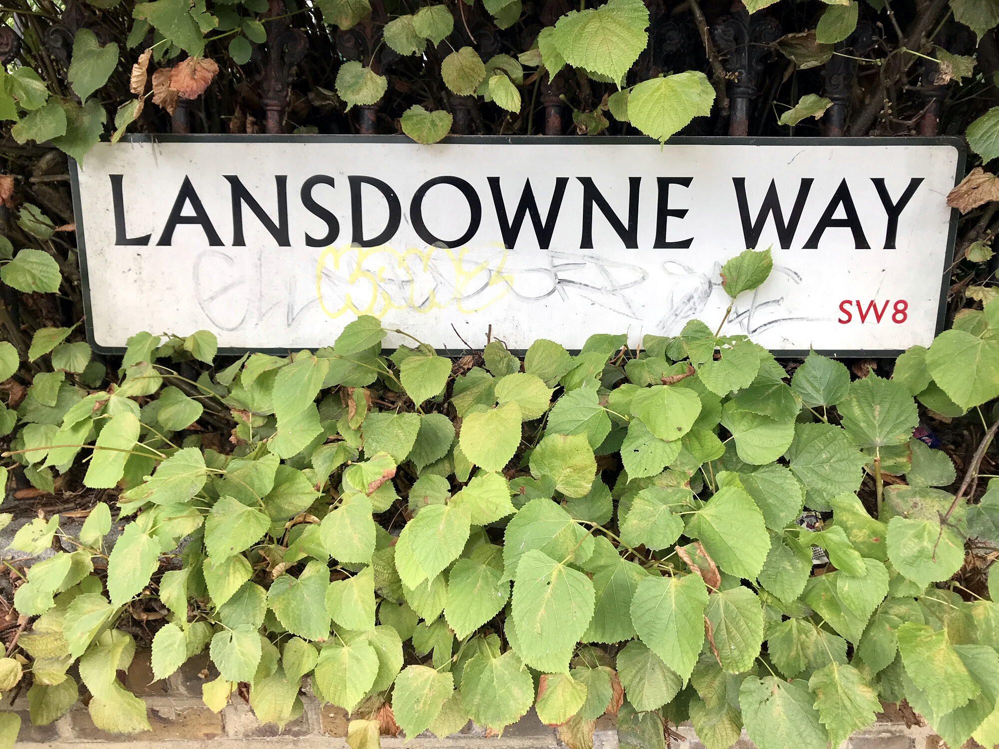 Sunny Stockwell #home