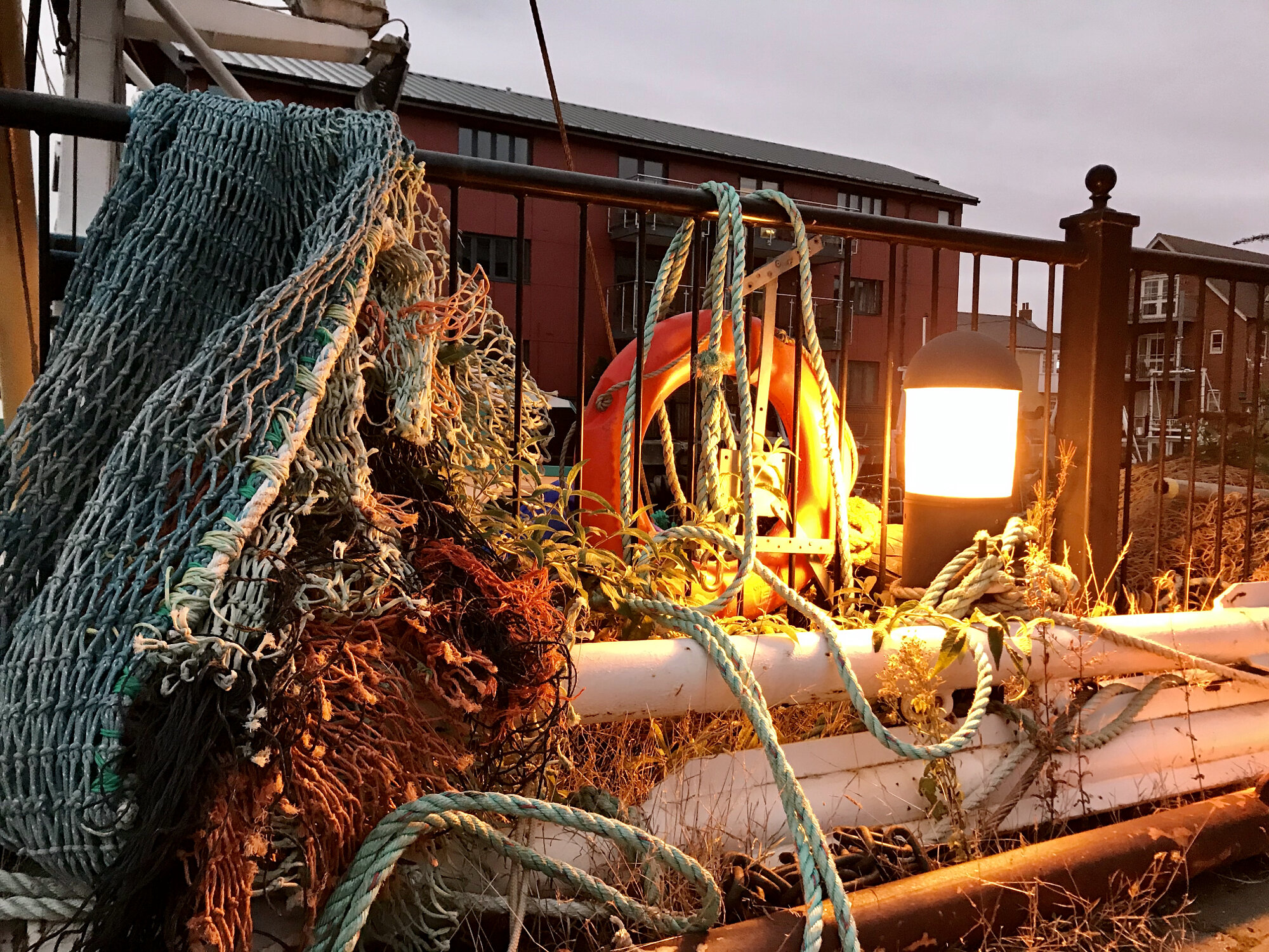 #WeirdWiv Evening Walk